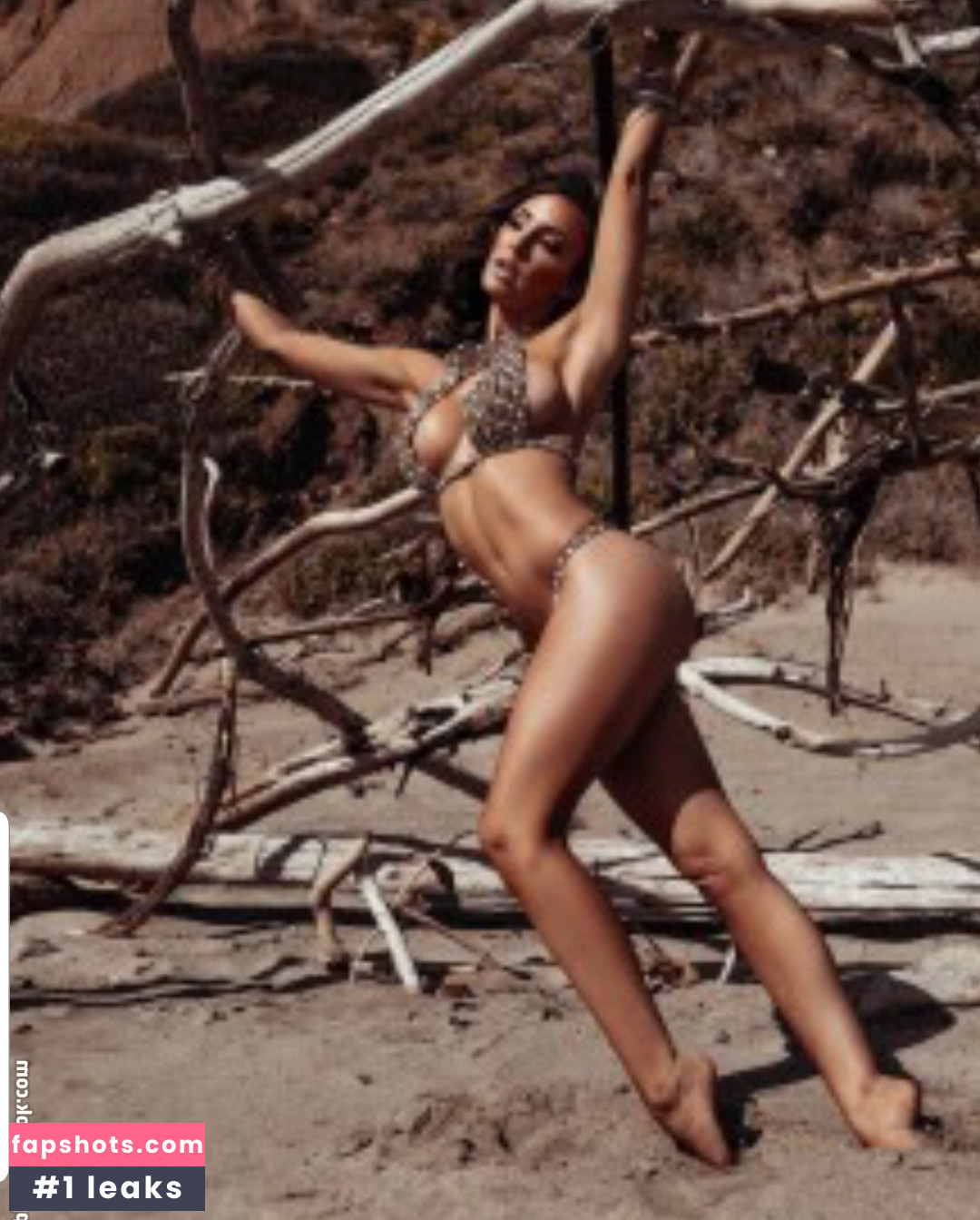 Cassie Lee gallery photo #1309