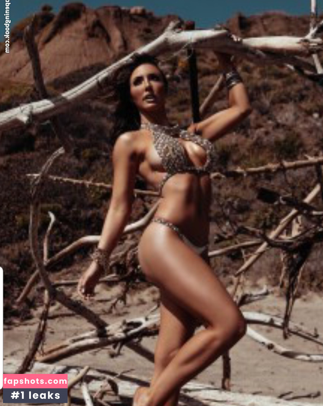 Cassie Lee gallery photo #1312