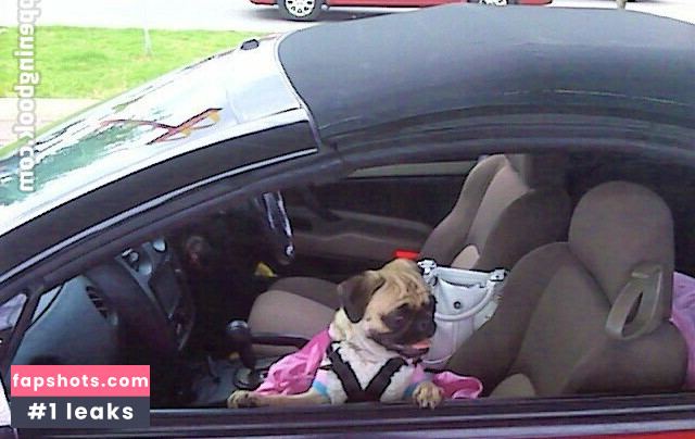 casssidyfree gallery photo #41