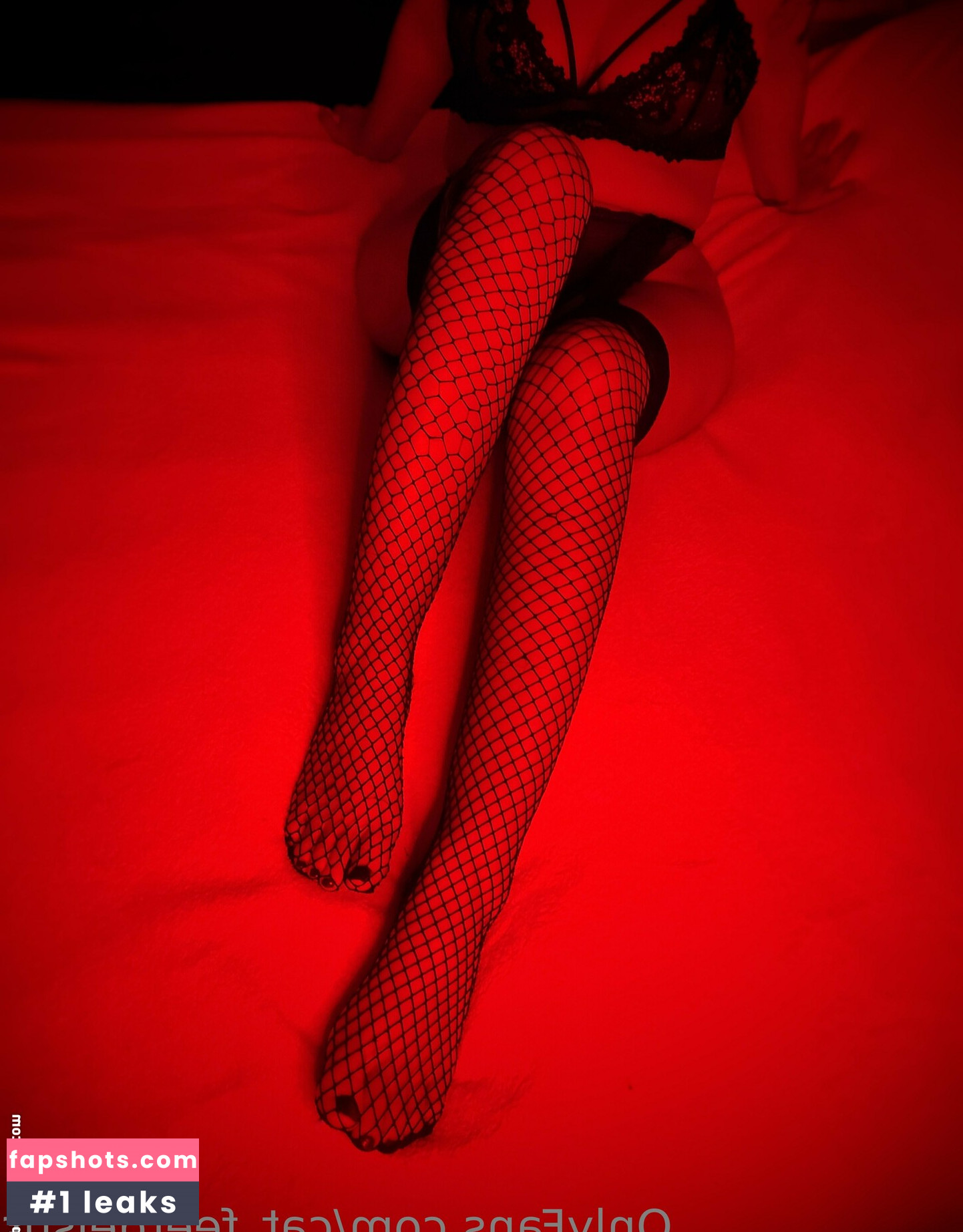 cat_feetdelsur gallery photo #15