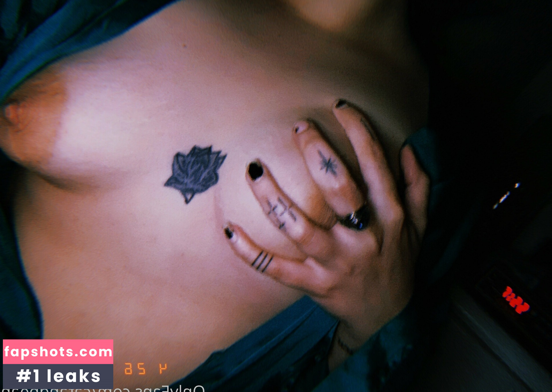 catandbean gallery photo #7