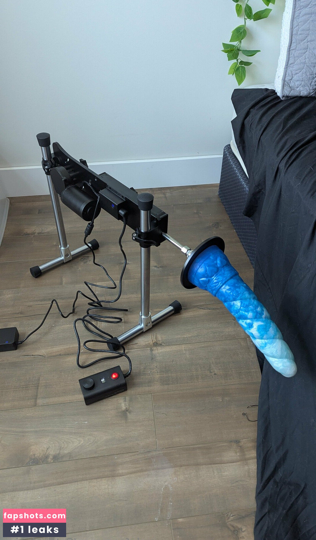 catexclusive Nude Leaks OnlyFans Photos #5 - LeakJerk