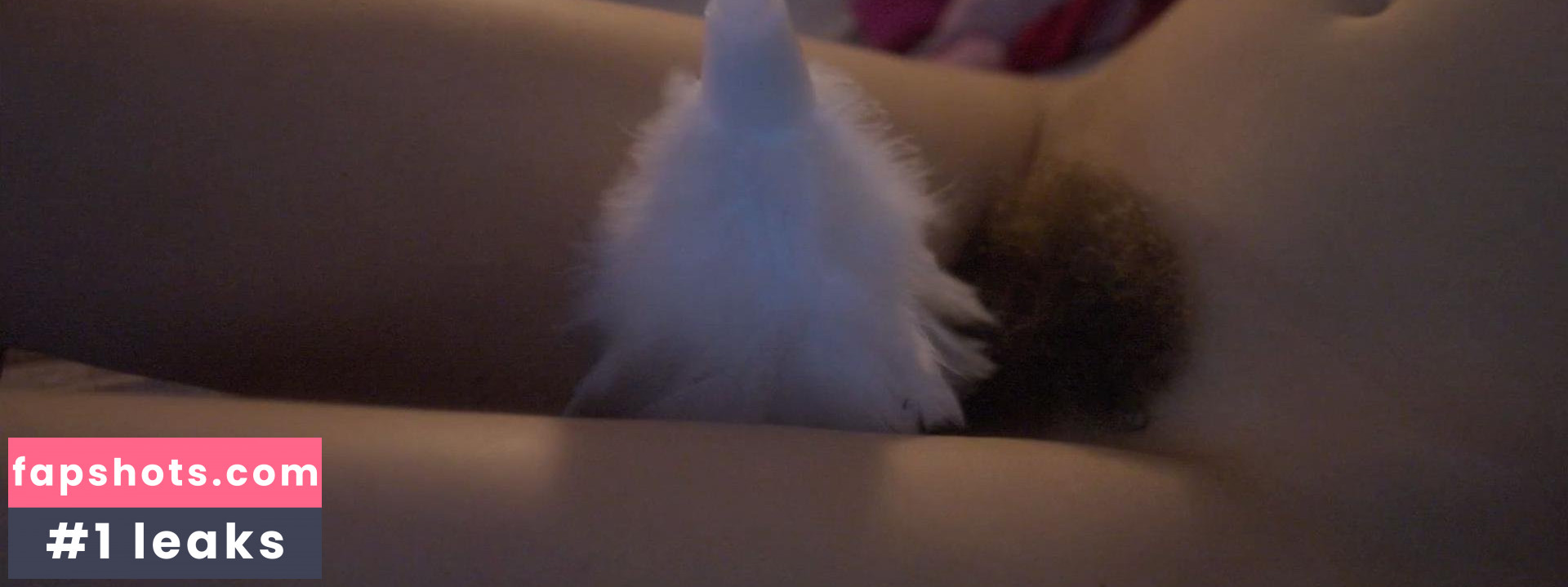 Catherine Shepherd gallery photo #6