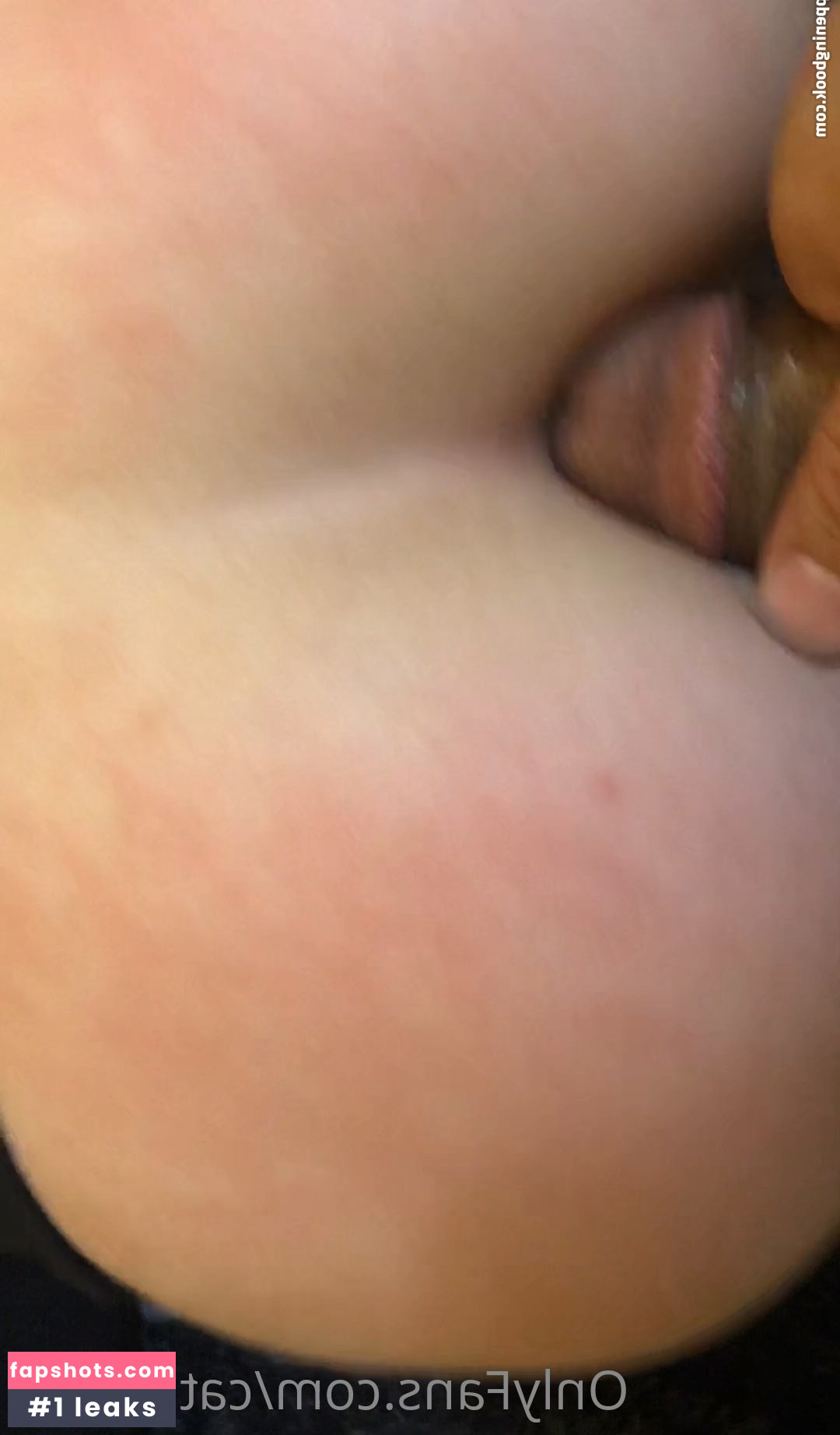 CatKitty21 gallery photo #476