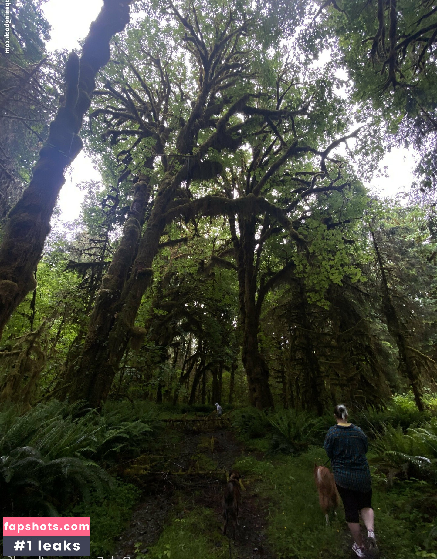 catscosplays gallery photo #7