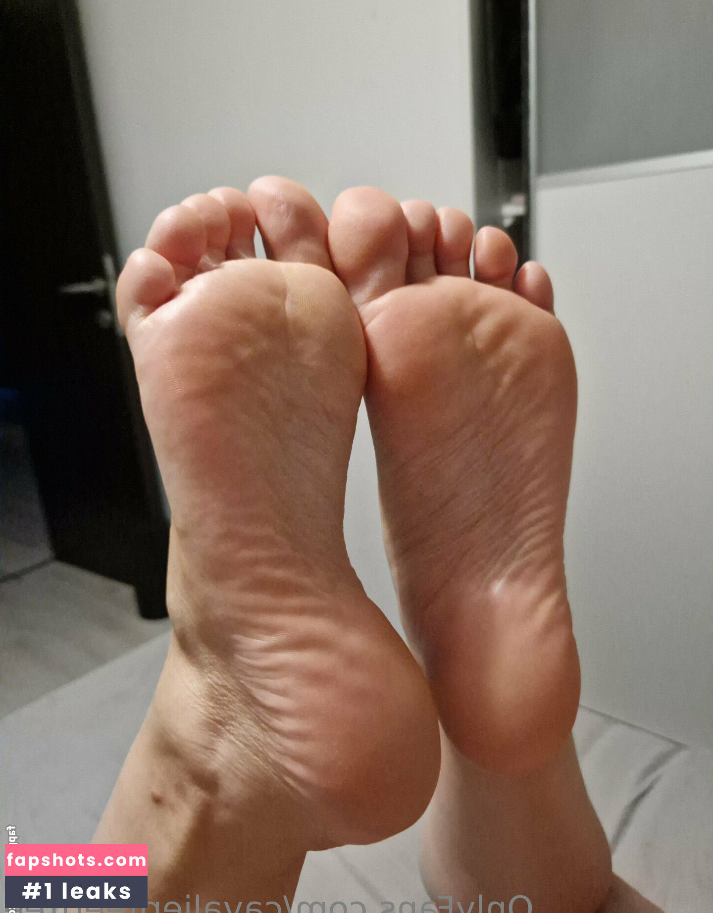 cavalierifeetfree gallery photo #29