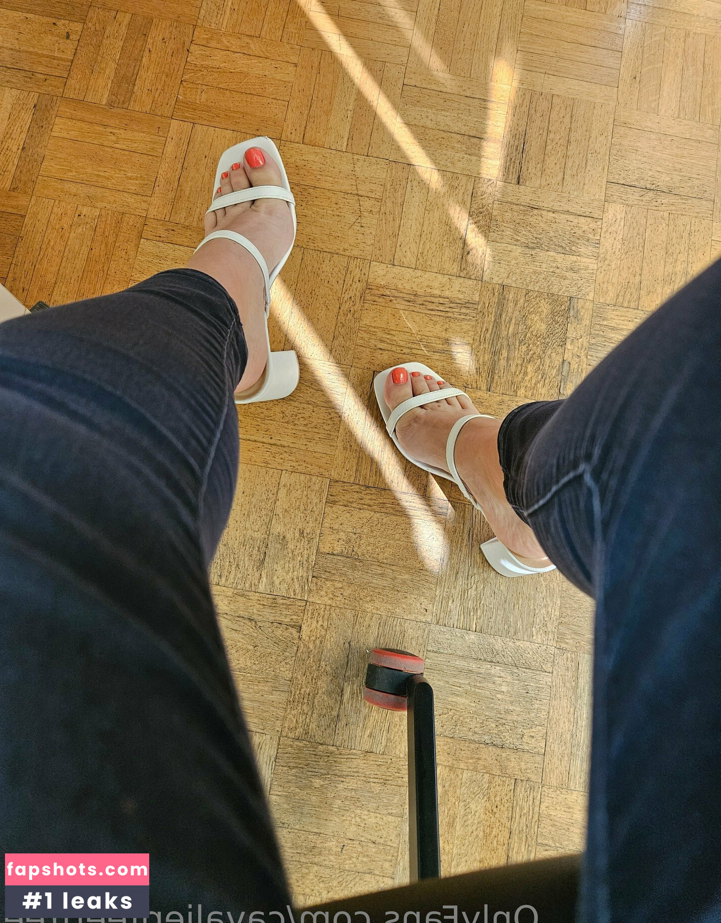 cavalierifeetfree gallery photo #45