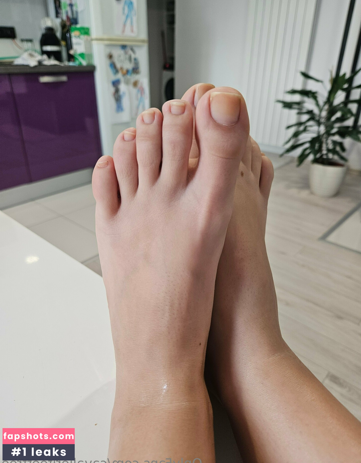 cavalierifeetfree gallery photo #9