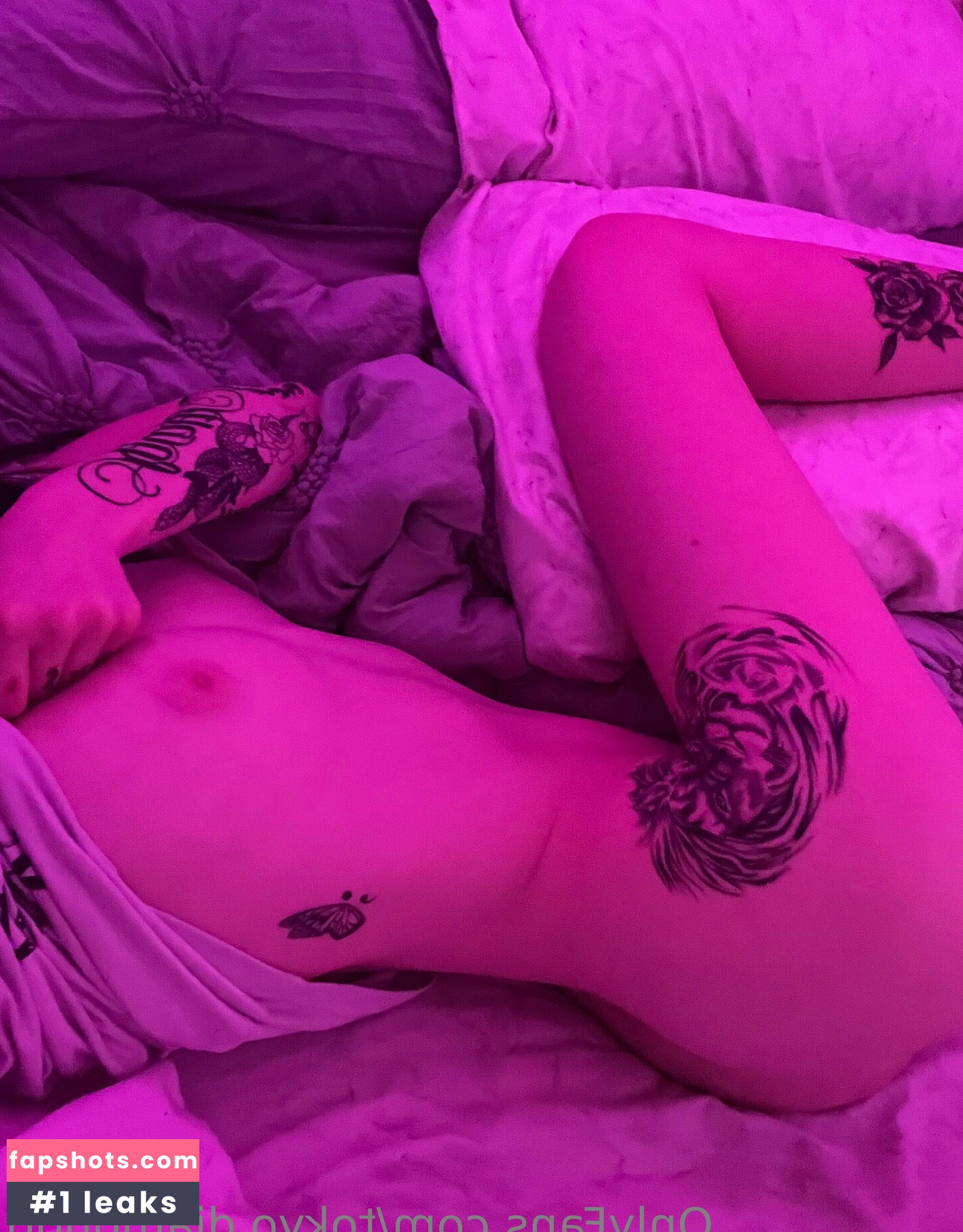 Caylee Novielli gallery photo #10