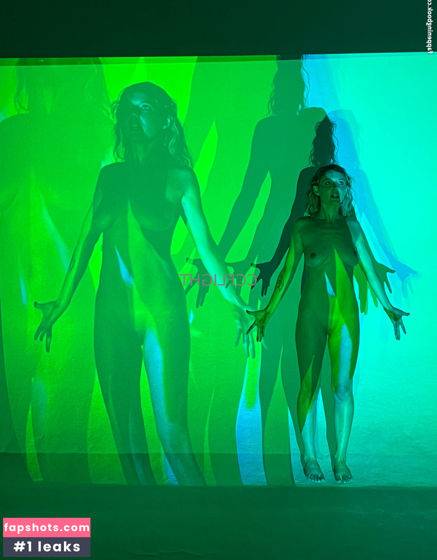 ccflight gallery photo #11