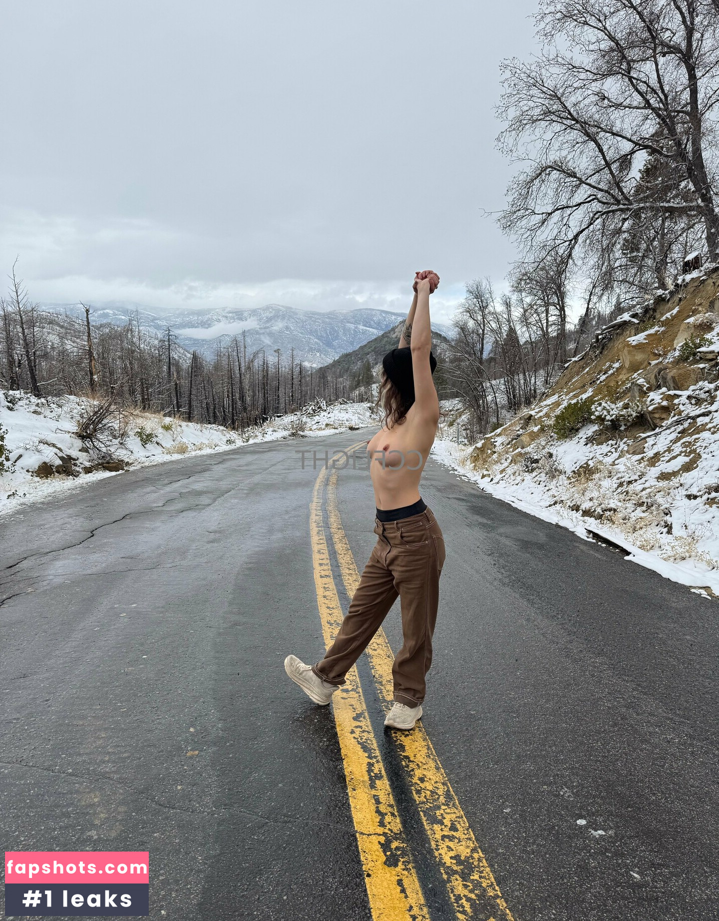 ccflight gallery photo #21