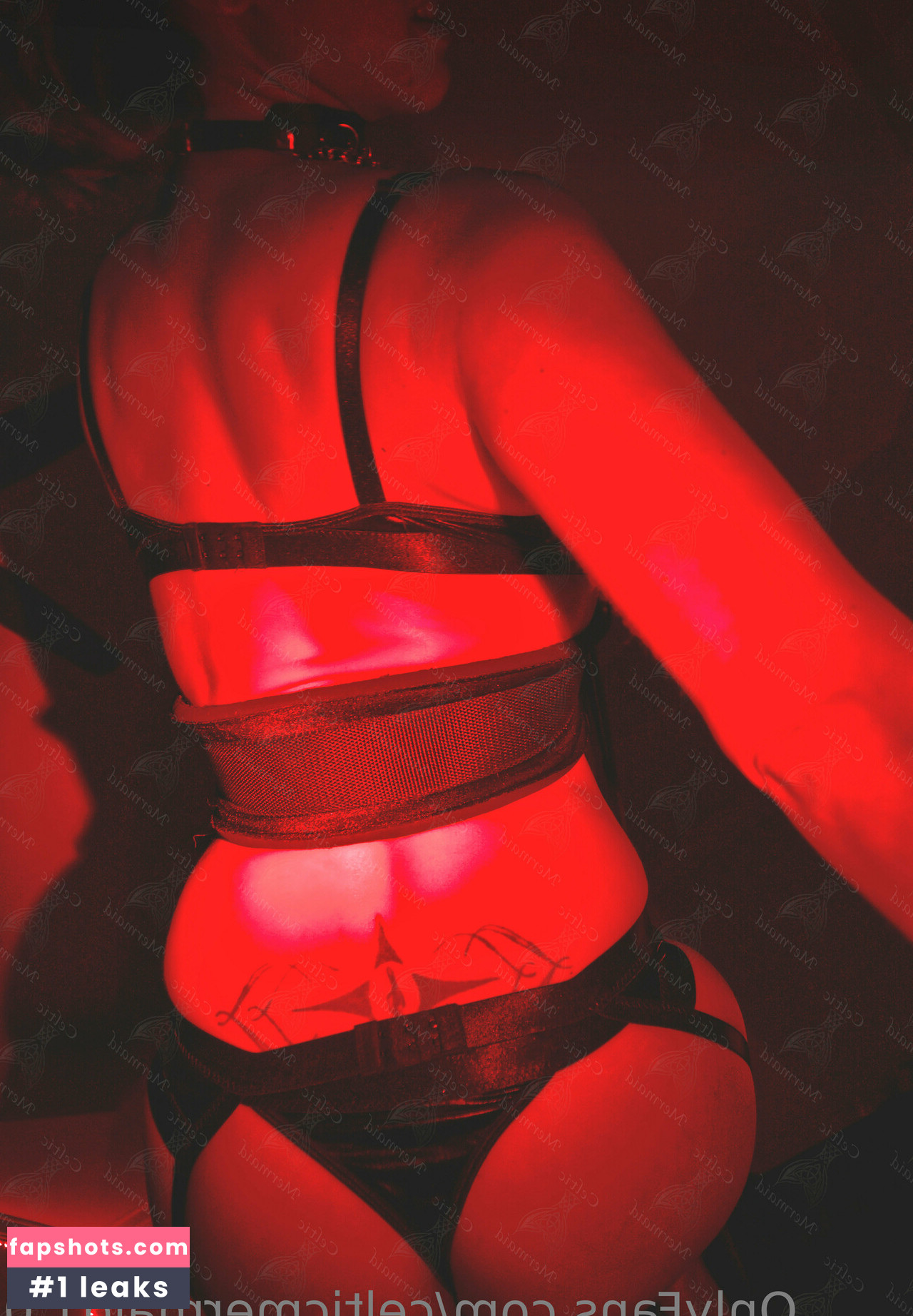 CelticMermaid1.0 gallery photo #14