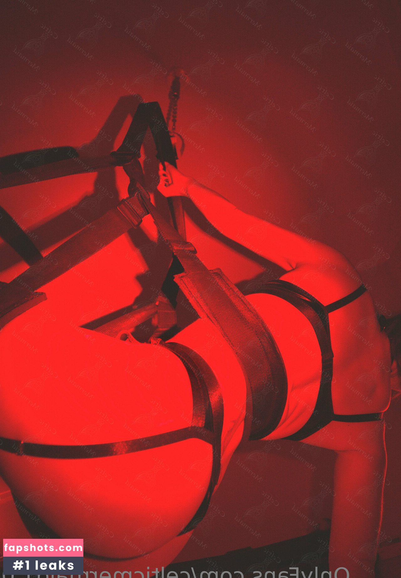 CelticMermaid1.0 gallery photo #24