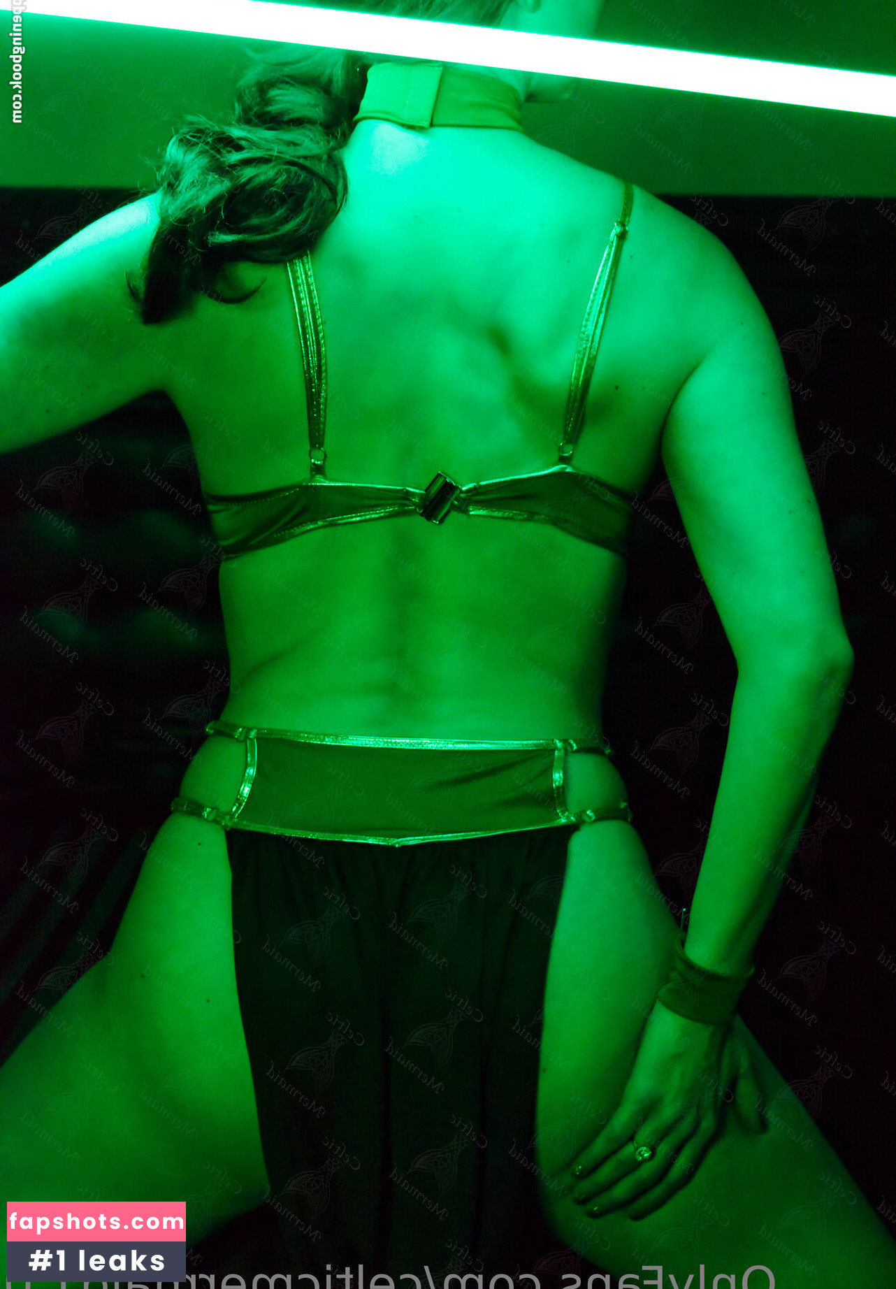 CelticMermaid1.0 gallery photo #38