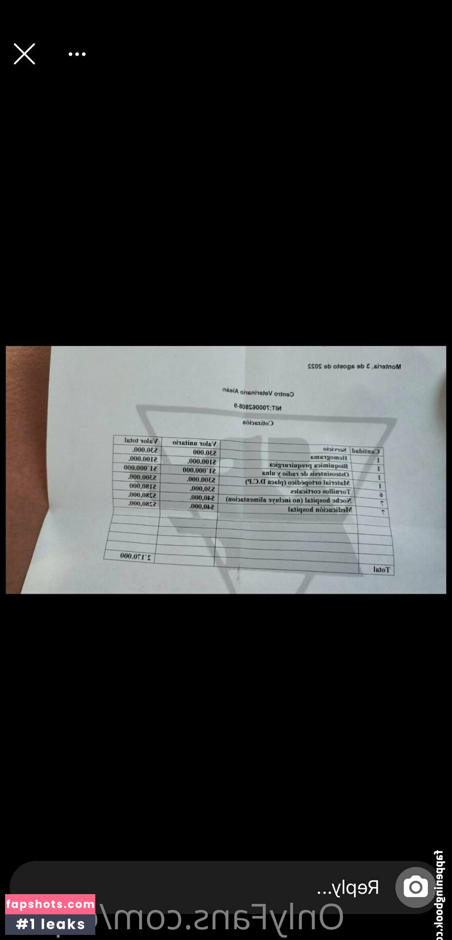 ceplia gallery photo #11