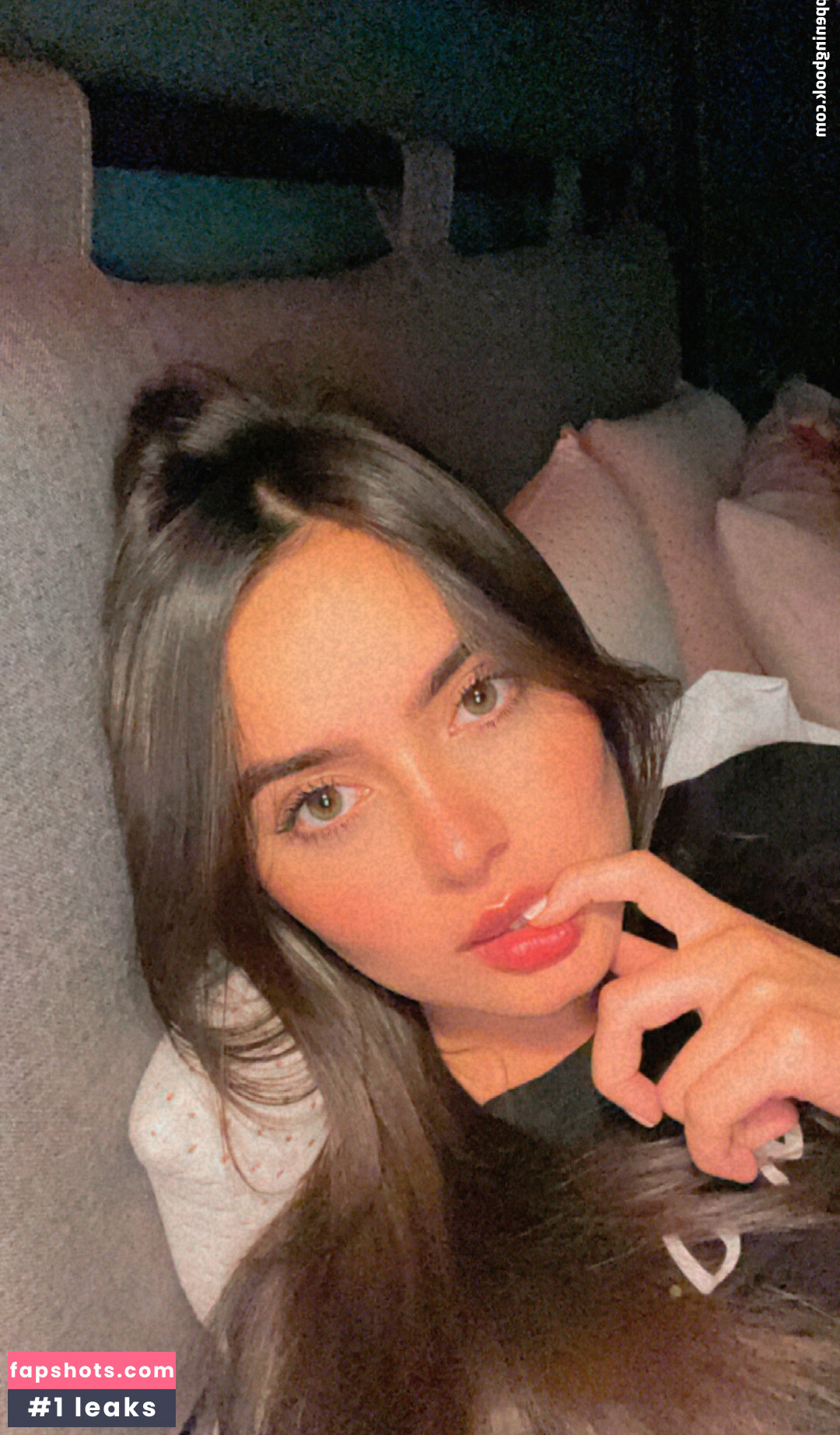 ceplia gallery photo #17