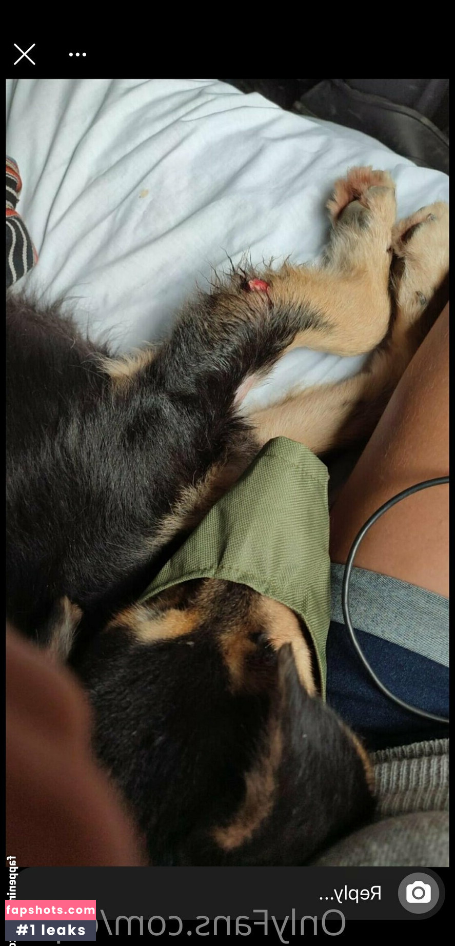 ceplia gallery photo #9