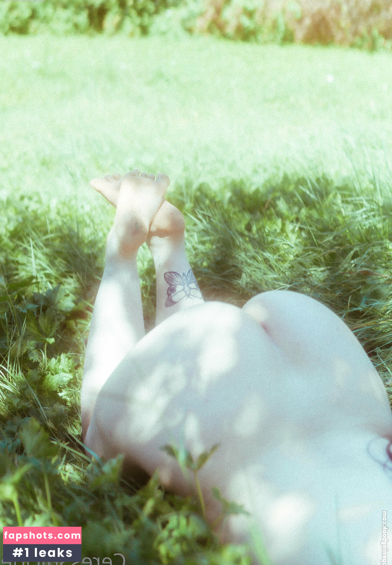 Ceres Suicide gallery photo #379