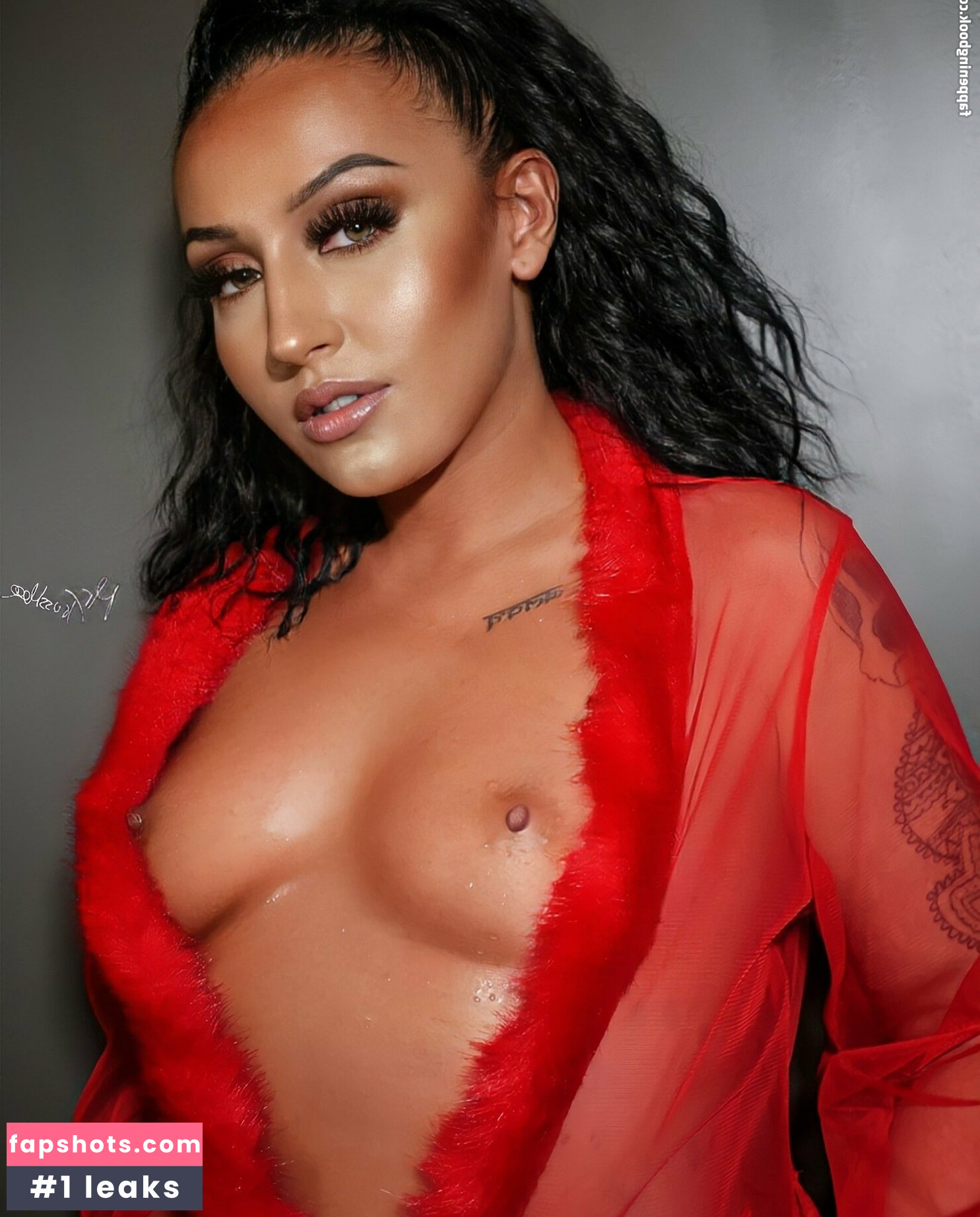 Chanella Wella Nahé úniky fotek pouze od fanoušků #14 - Fapshots