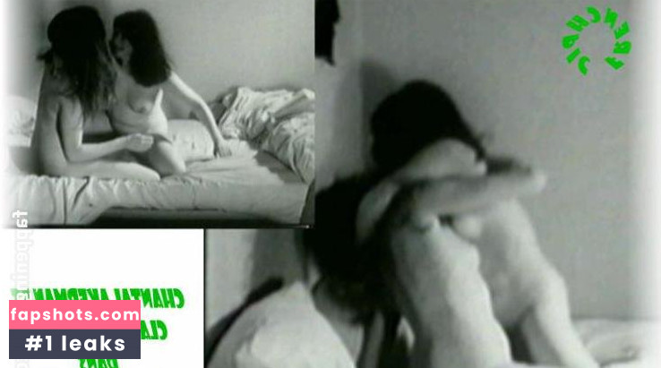 Chantal Akerman gallery photo #3