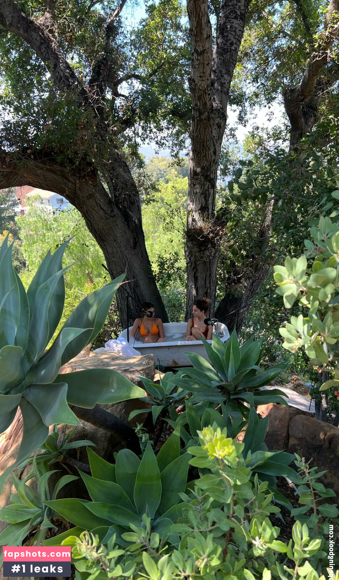 Chantel Jeffries gallery photo #942