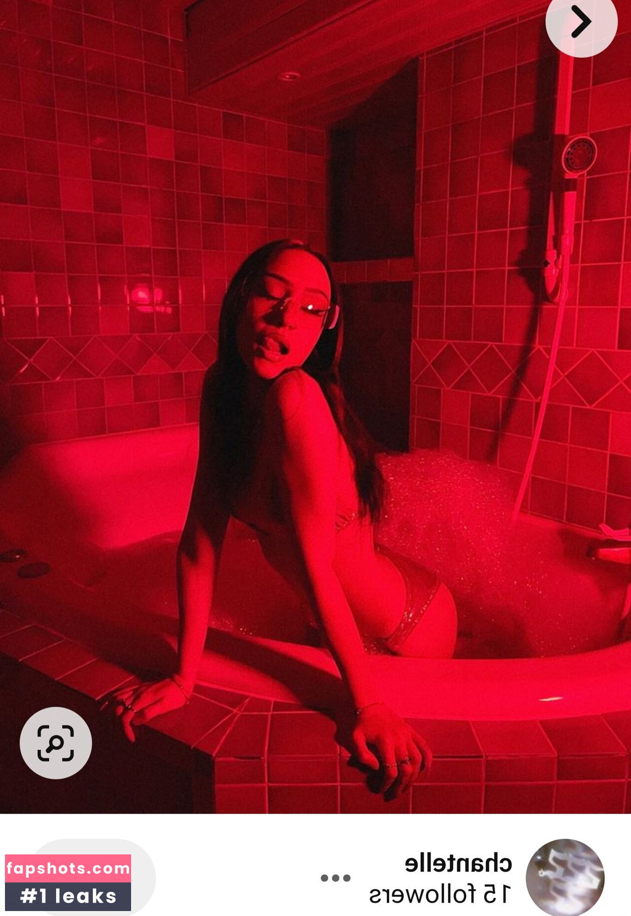 Chantelle gallery photo #23