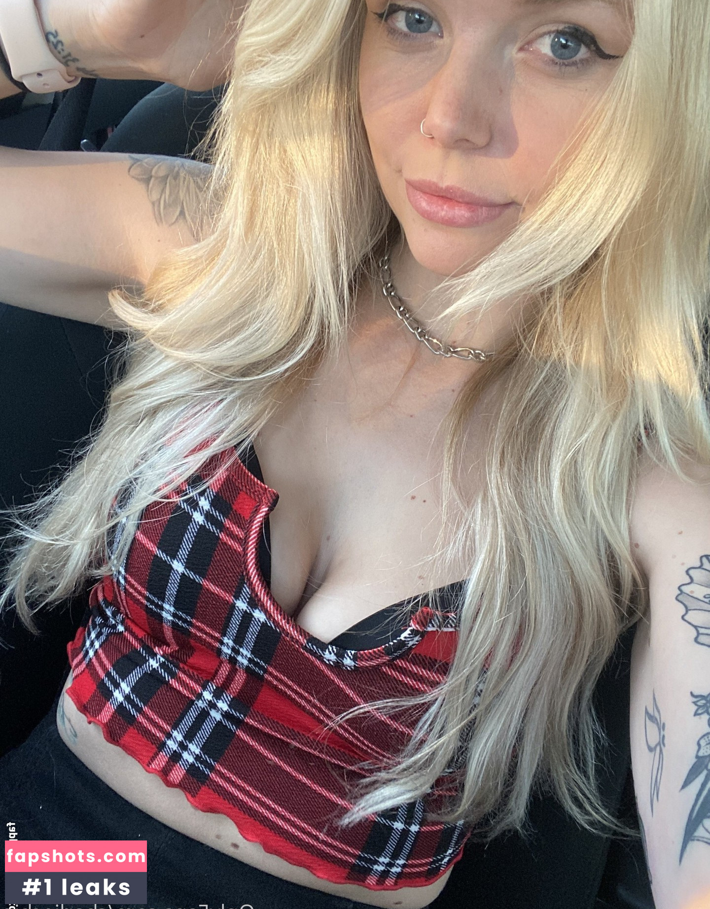 Charlie Chip gallery photo #34