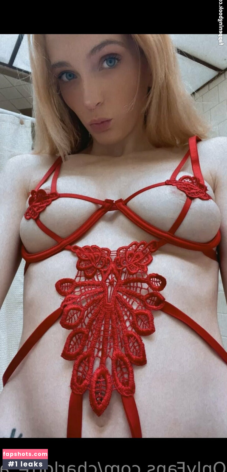 charlotte_andersonx gallery photo #19