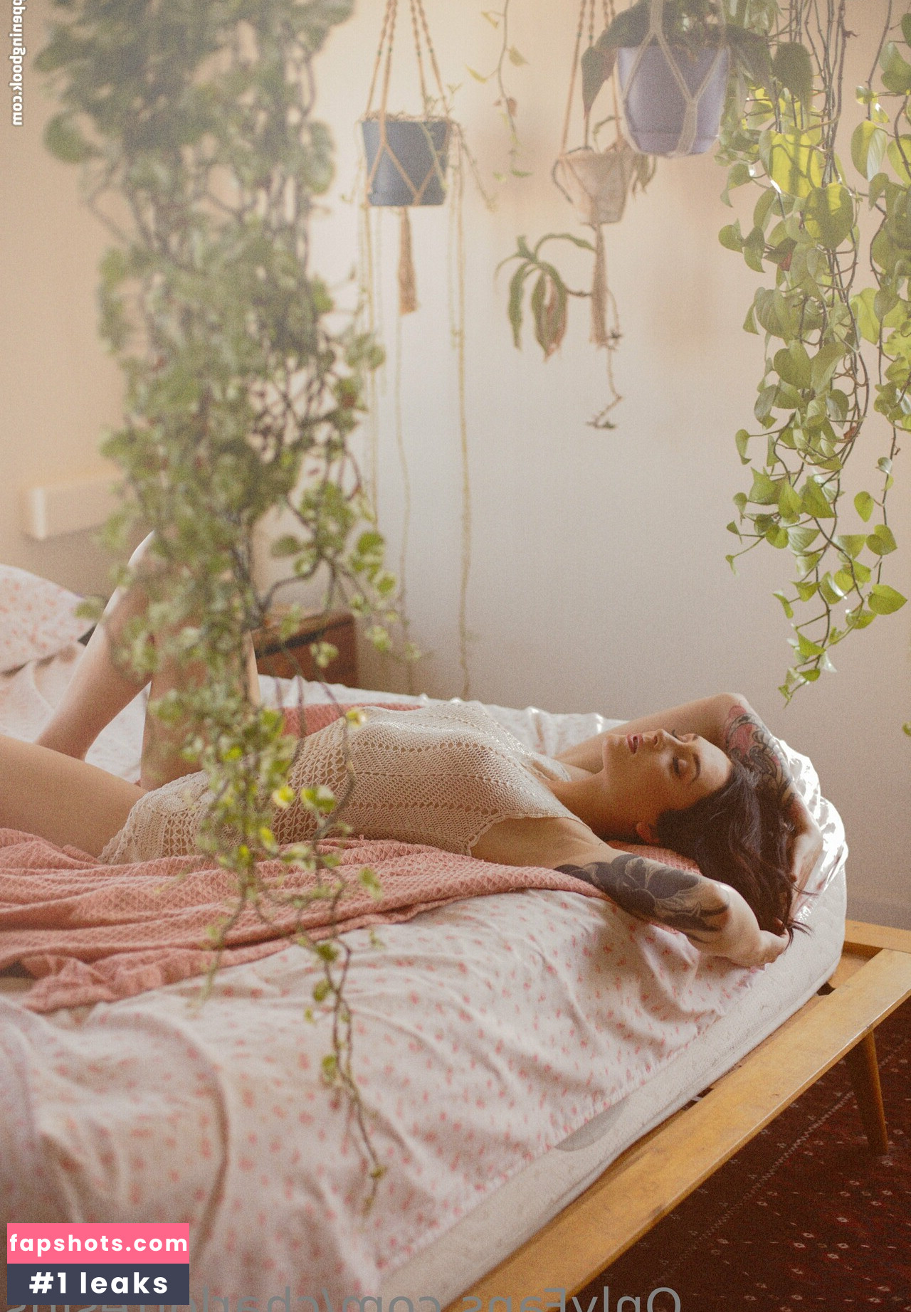 charlottesins gallery photo #26