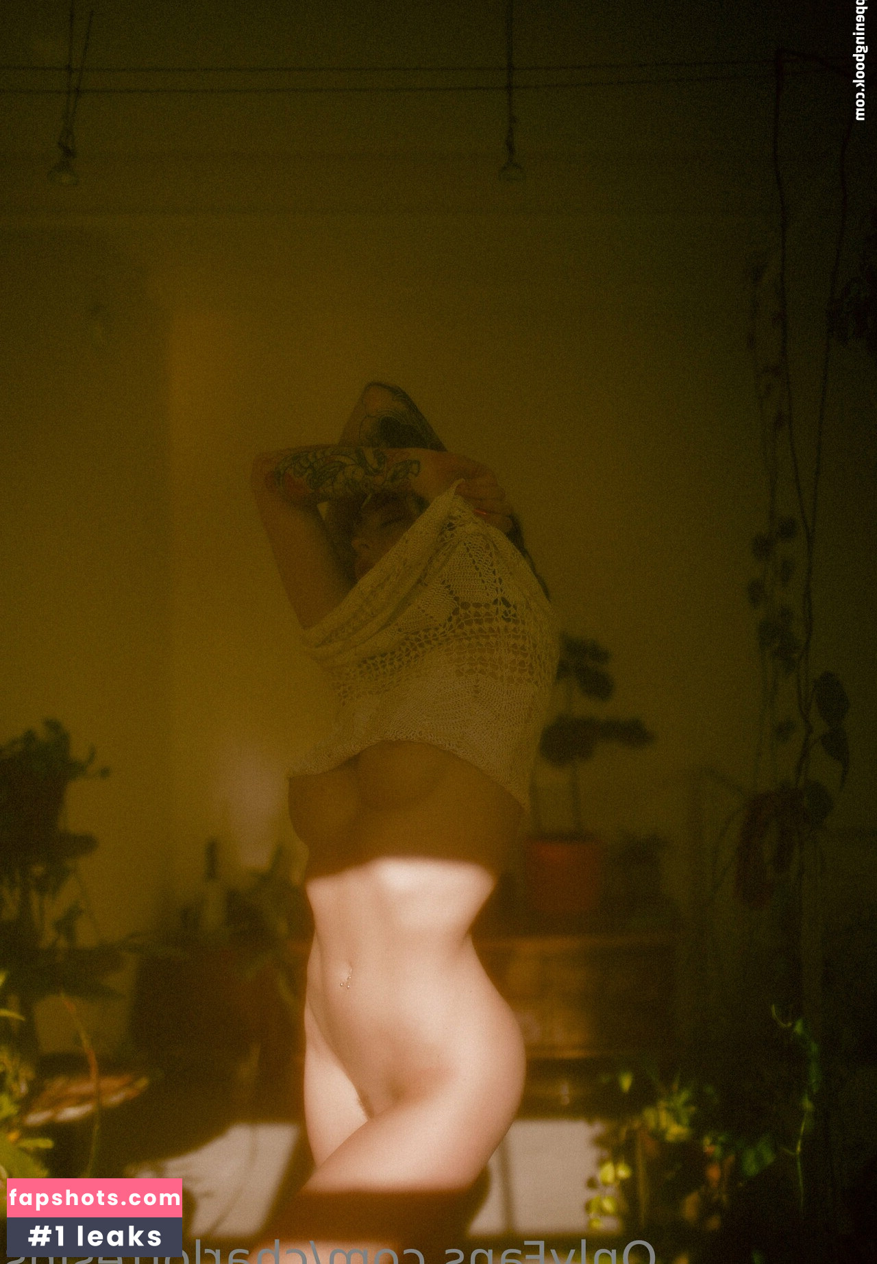 charlottesins gallery photo #37