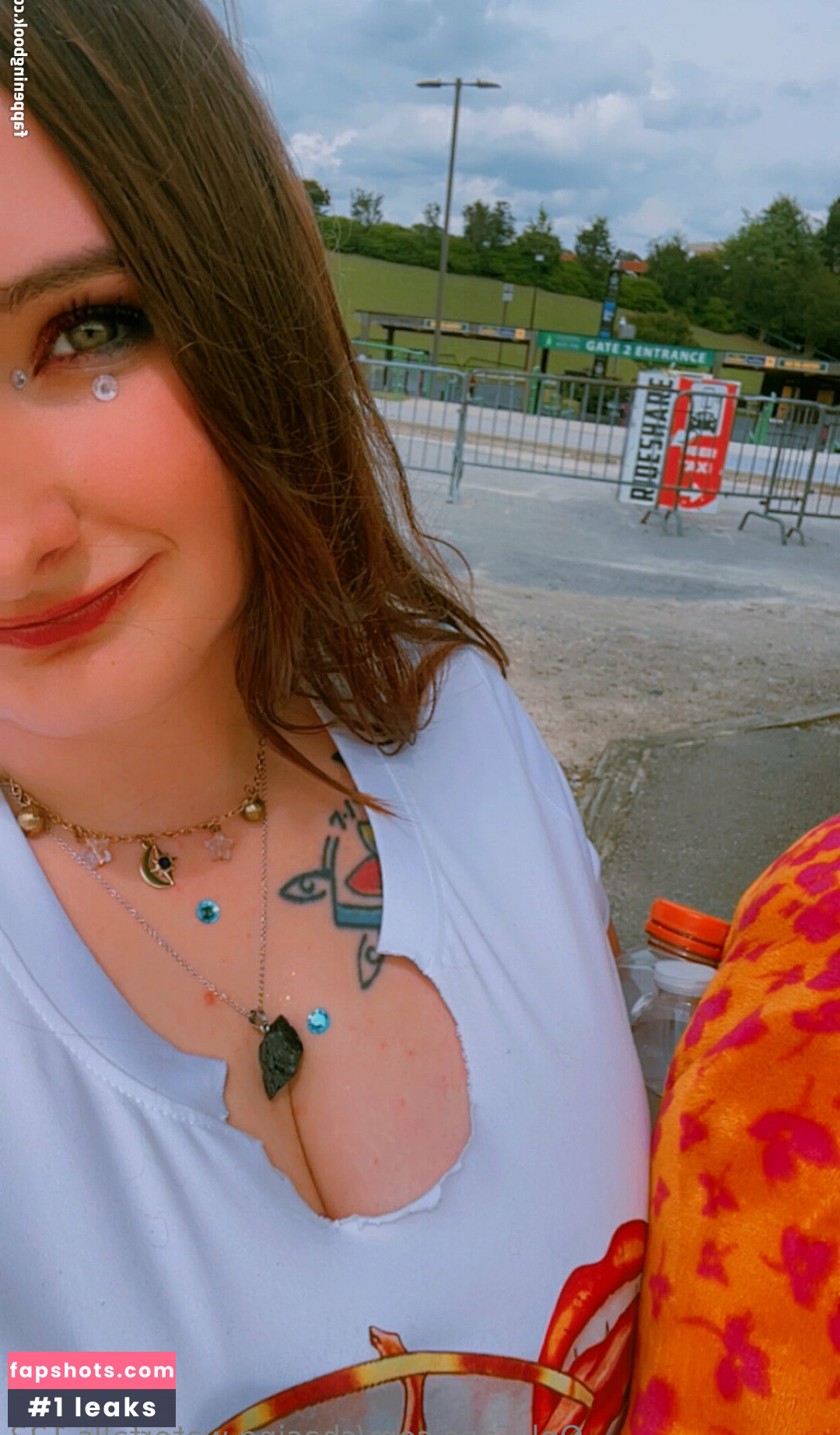 chasing.waterfalls.123 Nacktheit OnlyFans Fotos #29 - Fapshots