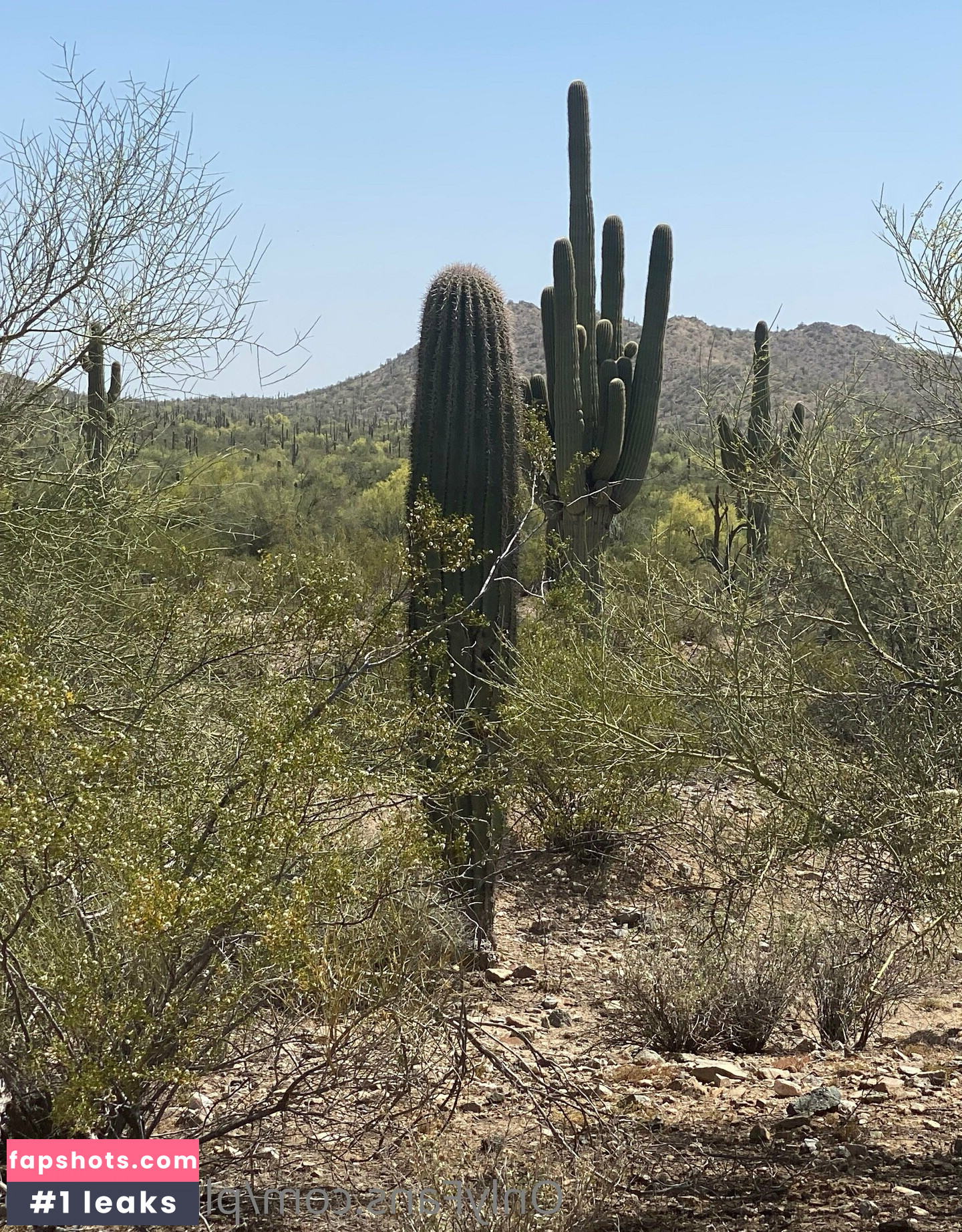 cheating_wife gallery photo #8