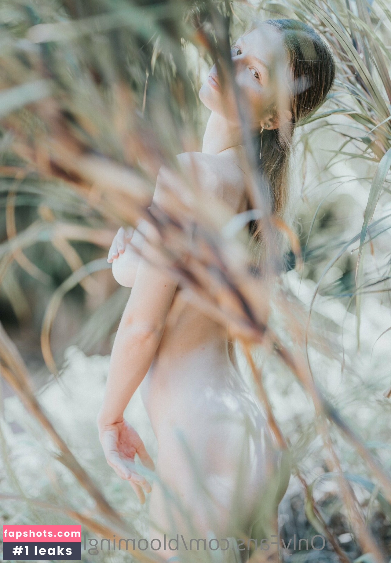 Chen Cohen gallery photo #37