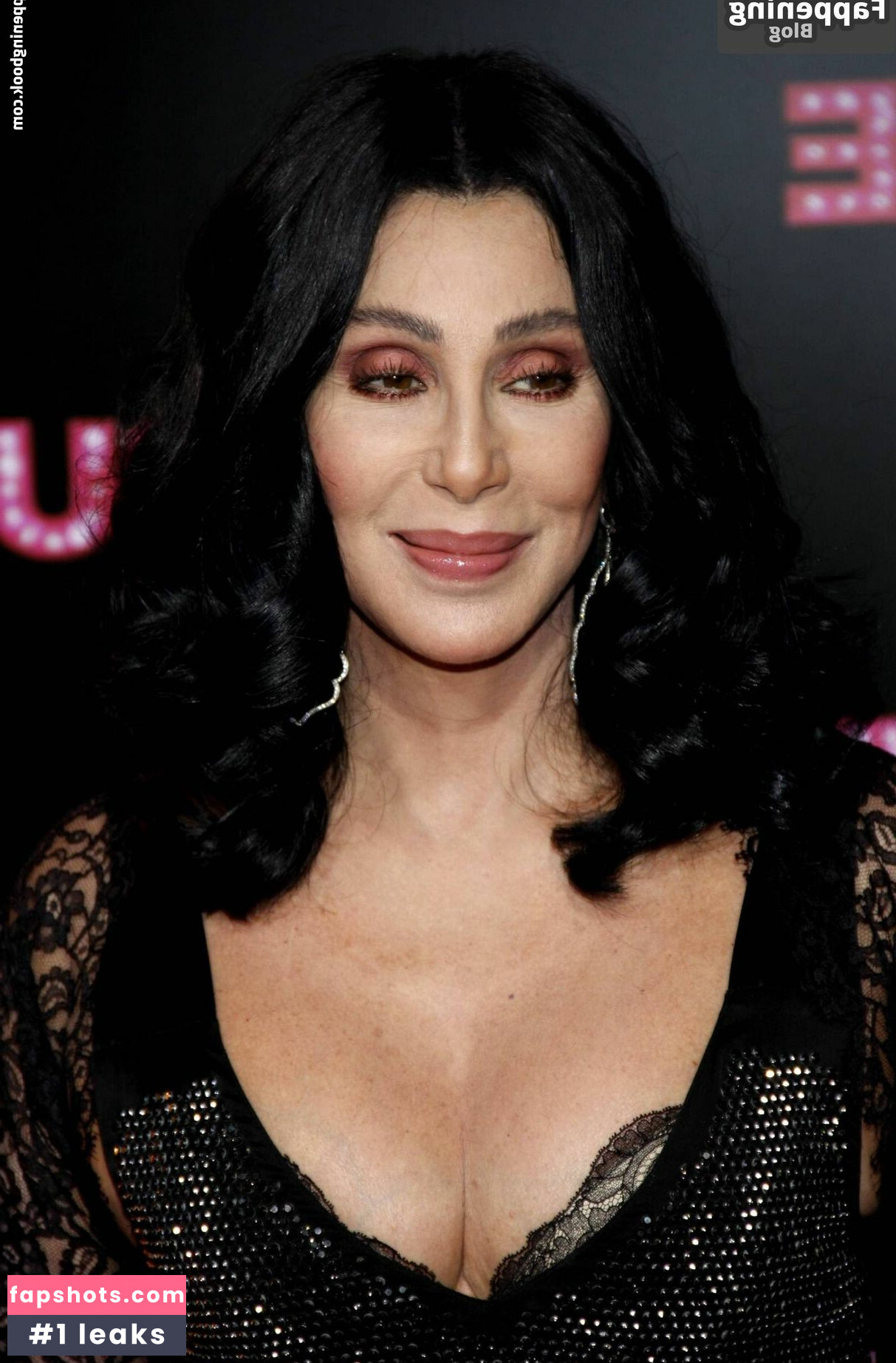 Cher gallery photo #11