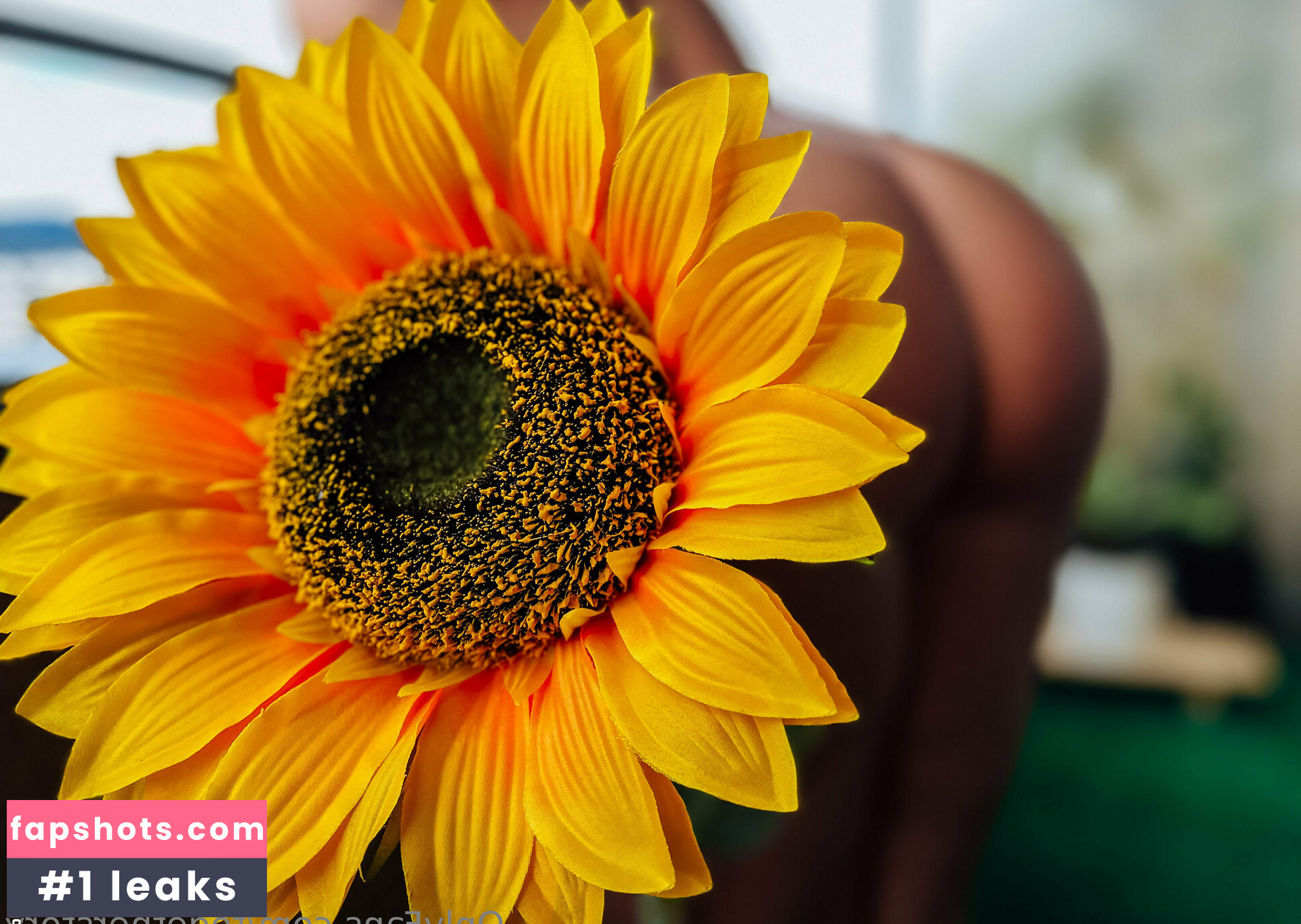 cherimane gallery photo #2