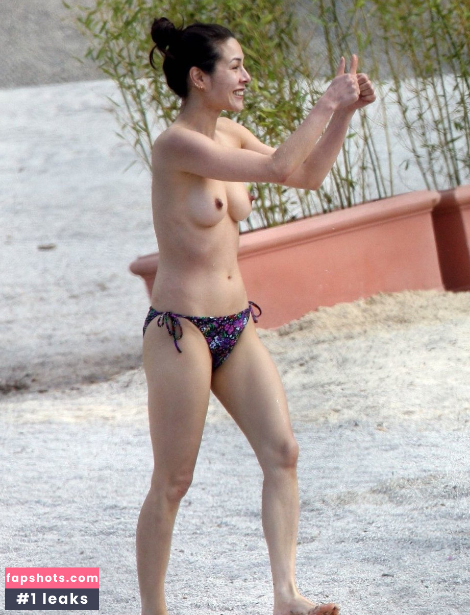 China Chow gallery photo #15