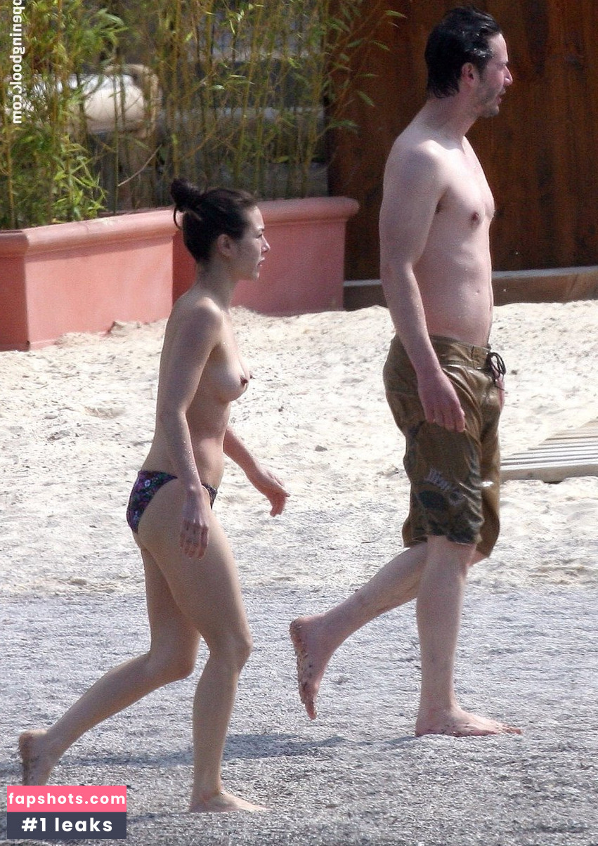 China Chow gallery photo #21