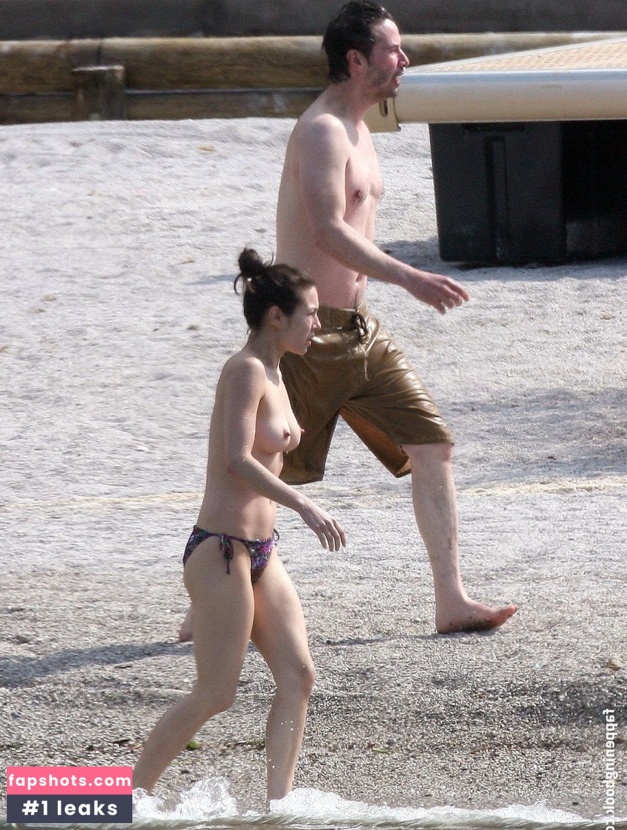 China Chow gallery photo #24