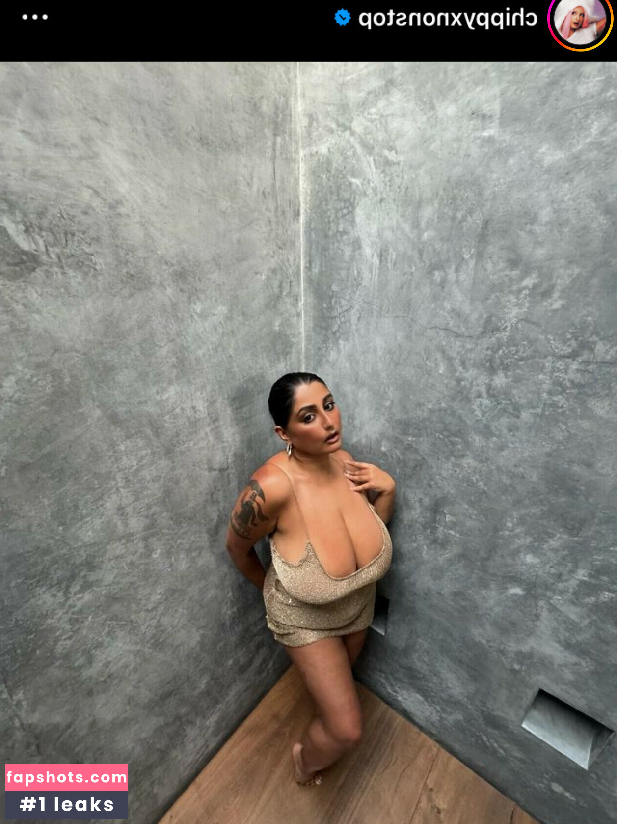 Chippy Nonstop gallery photo #17