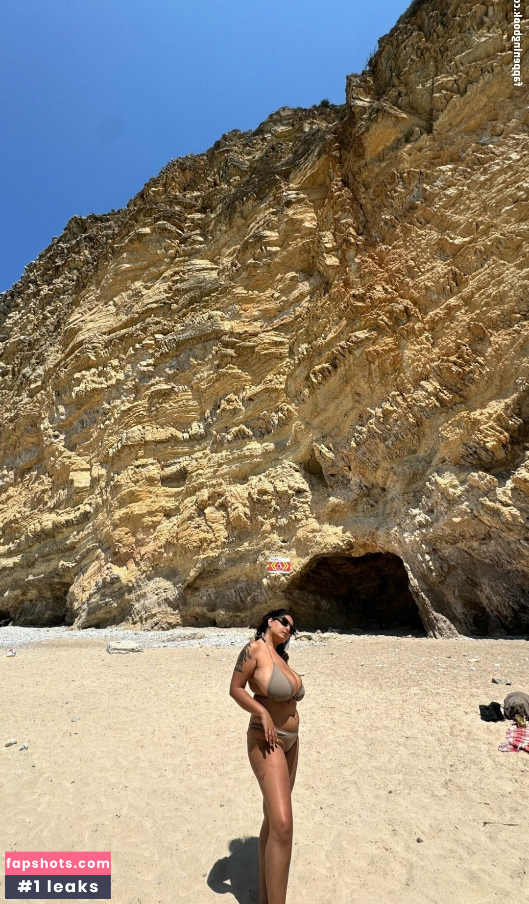 Chippy Nonstop gallery photo #21