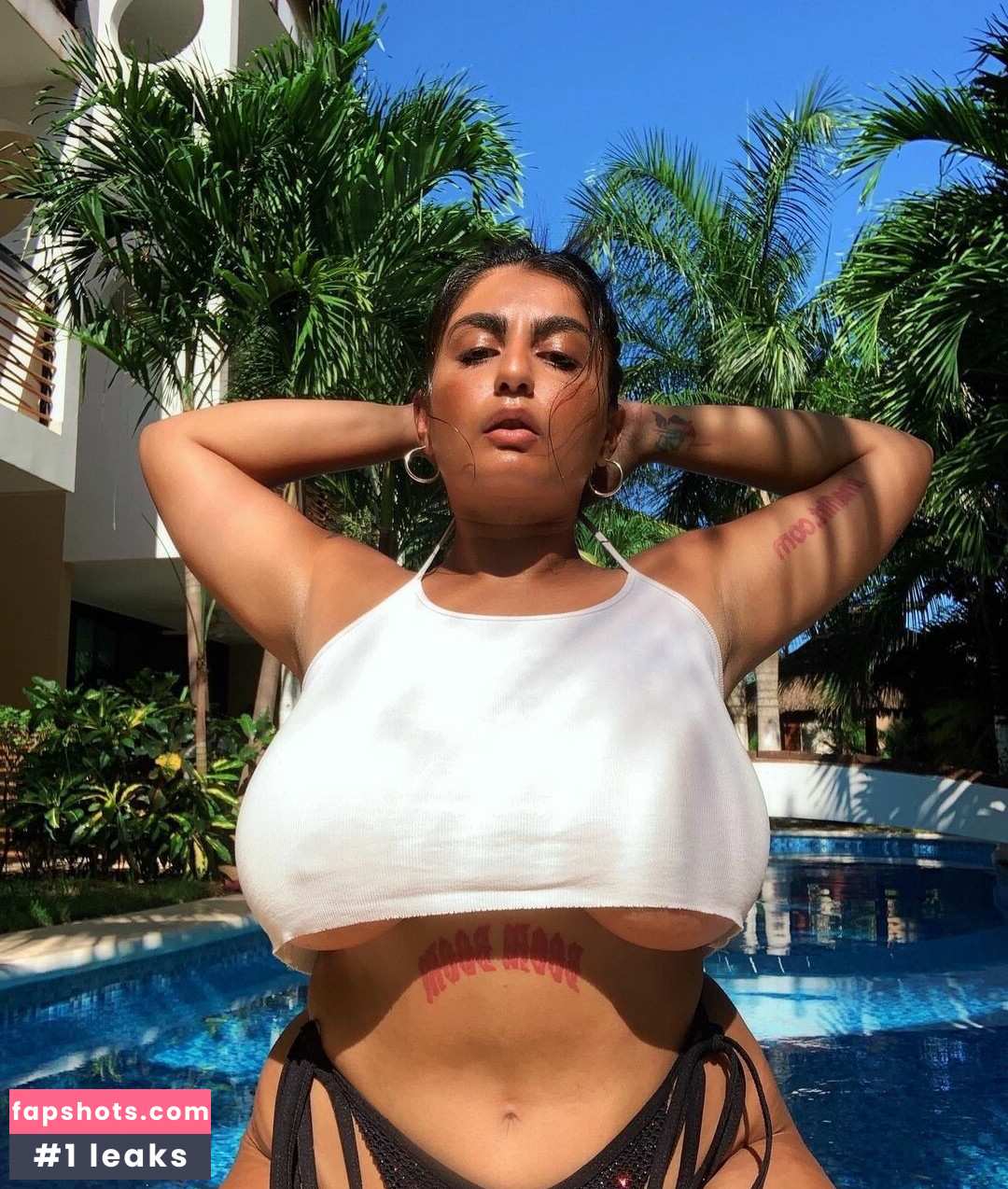 Chippy Nonstop gallery photo #25