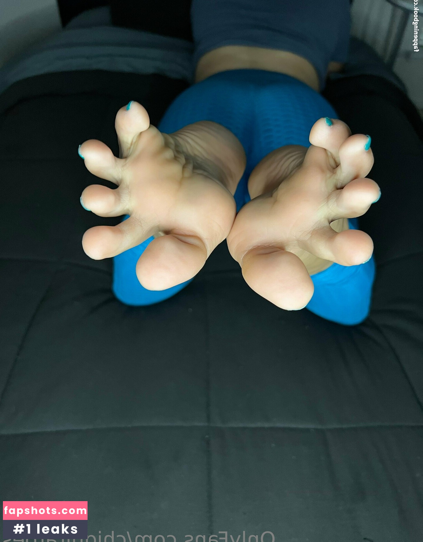 chiquitatoes gallery photo #16