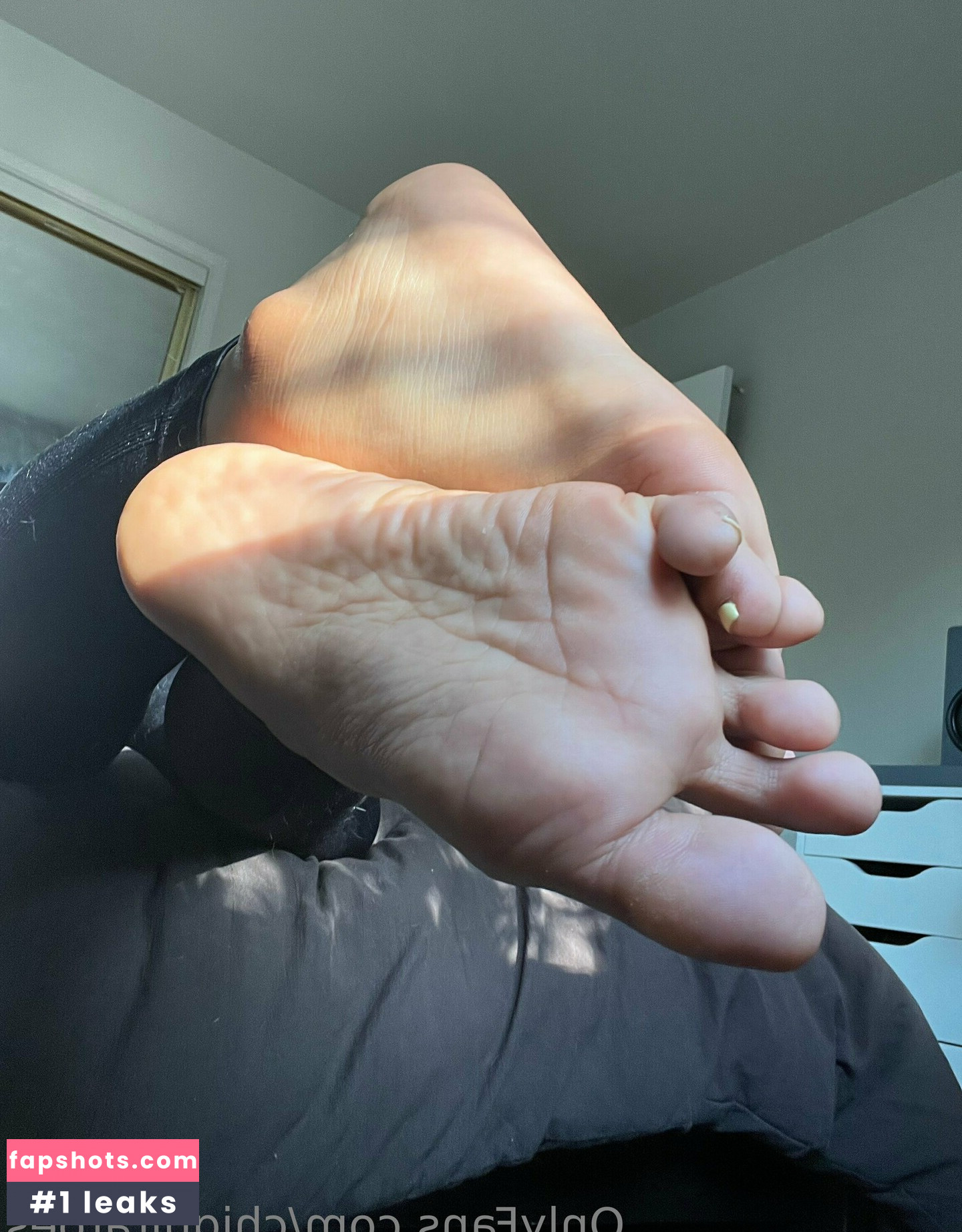 chiquitatoes gallery photo #22