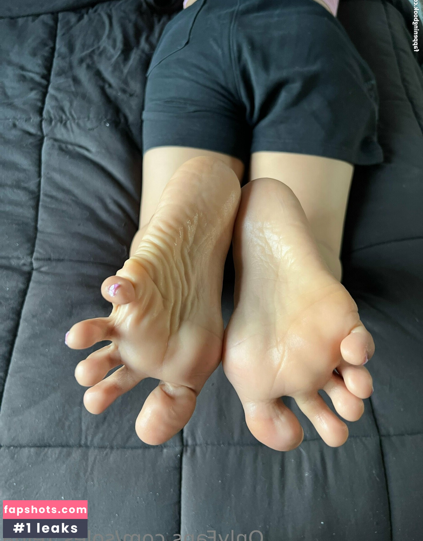 chiquitatoes gallery photo #4