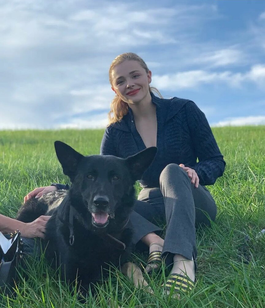 chlo-grace-moretz gallery photo #361