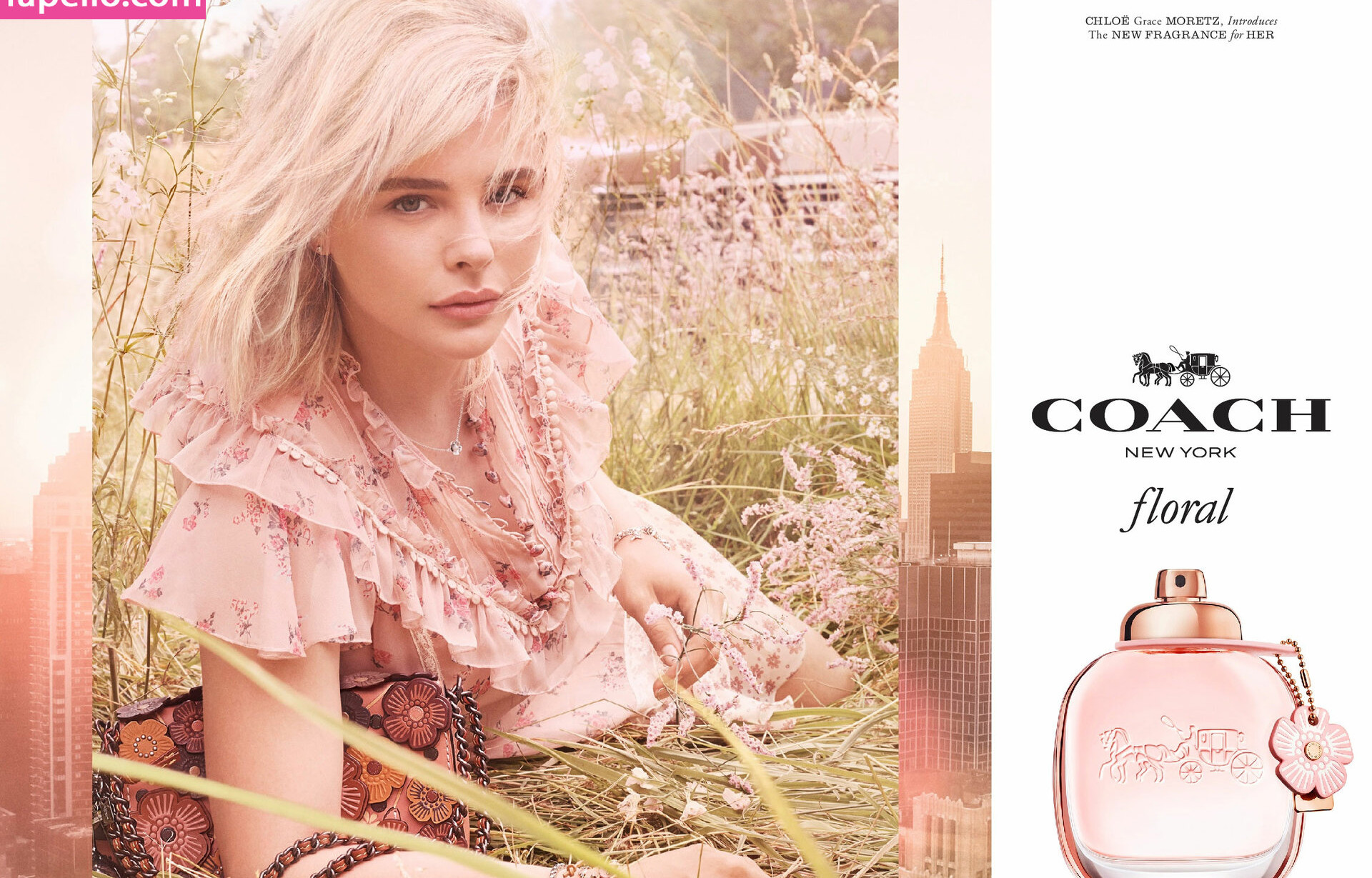 chlo-grace-moretz Nacktheit OnlyFans Fotos #898 - Fapshots