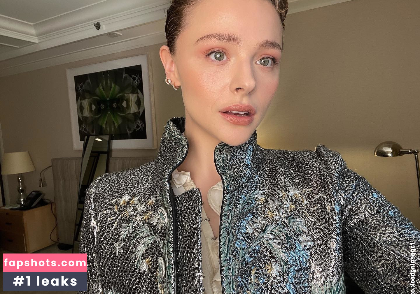 Chloë Grace Moretz gallery photo #1031