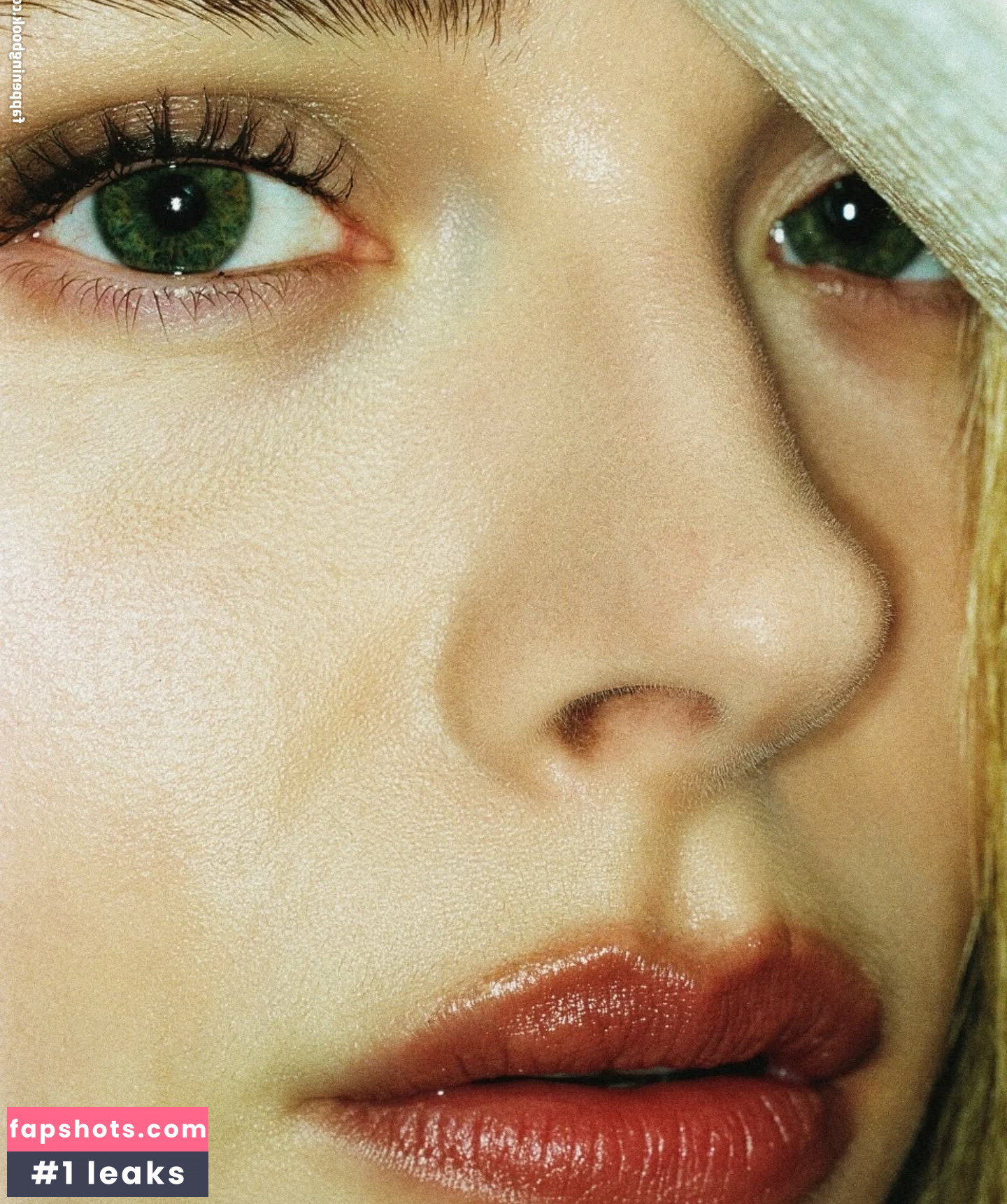 Chloë Grace Moretz gallery photo #14