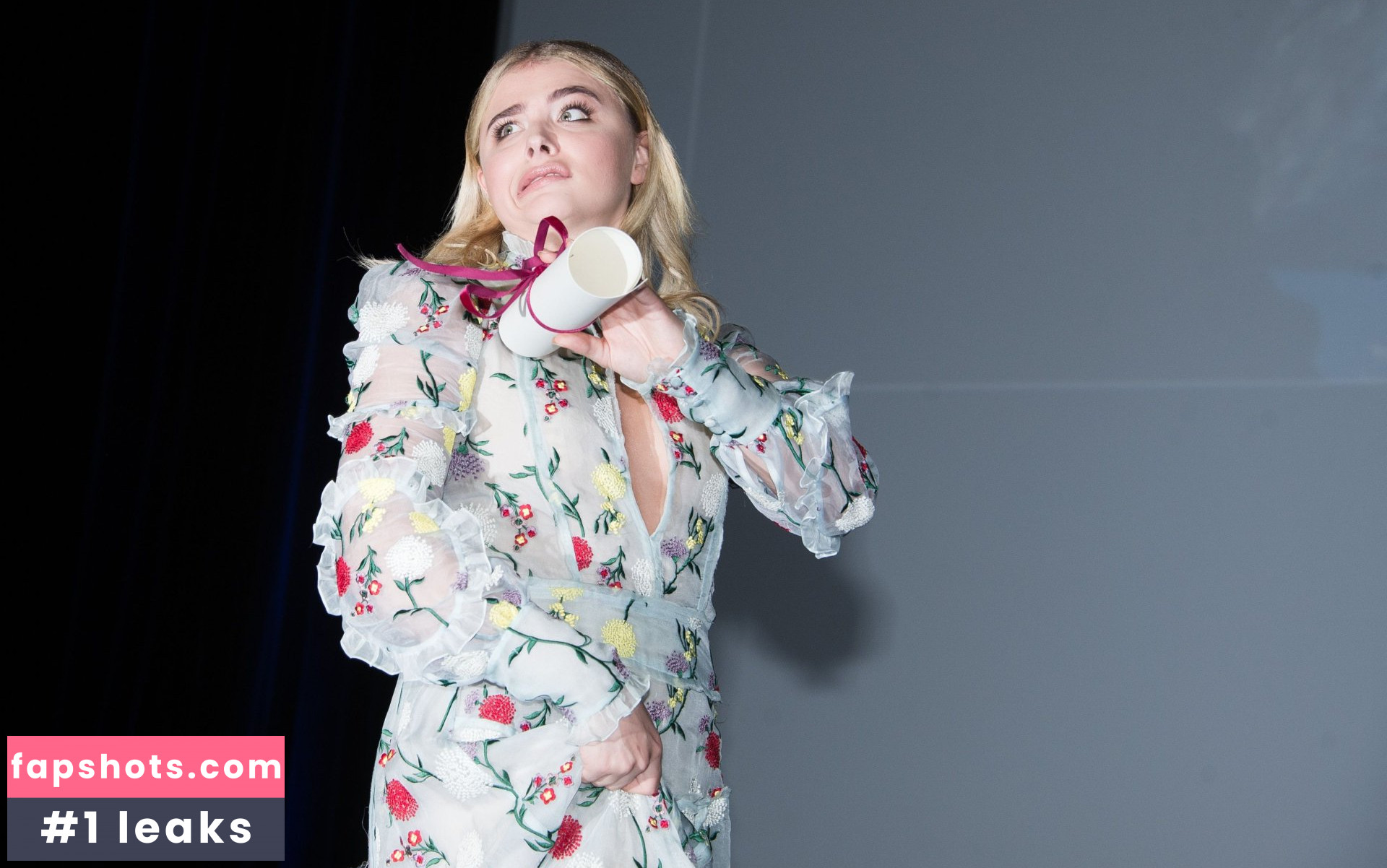 Chloë Grace Moretz gallery photo #1405