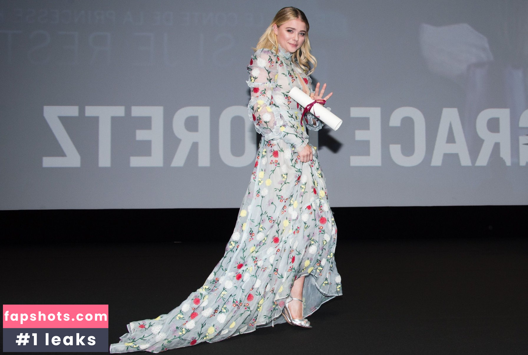 Chloë Grace Moretz gallery photo #1407